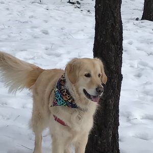 Meet your Posher, Brandie